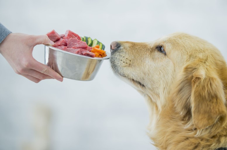 Healthy Pet Food