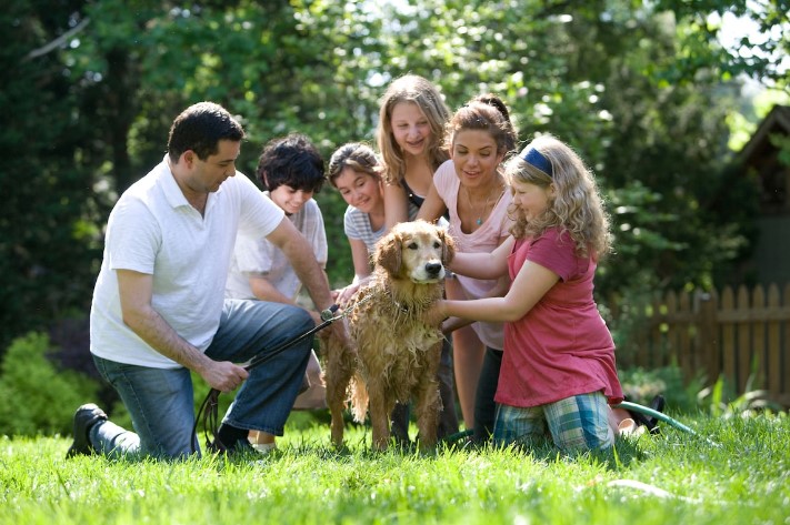 Creating a Safe and Engaging Environment to Support Your Dog’s Health